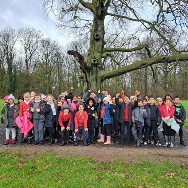 2 classes of Y3 children from had just measured the beech tree behind them and found out it was about 200 years old, they wanted a photo of it and here it is! #outdoorlearning