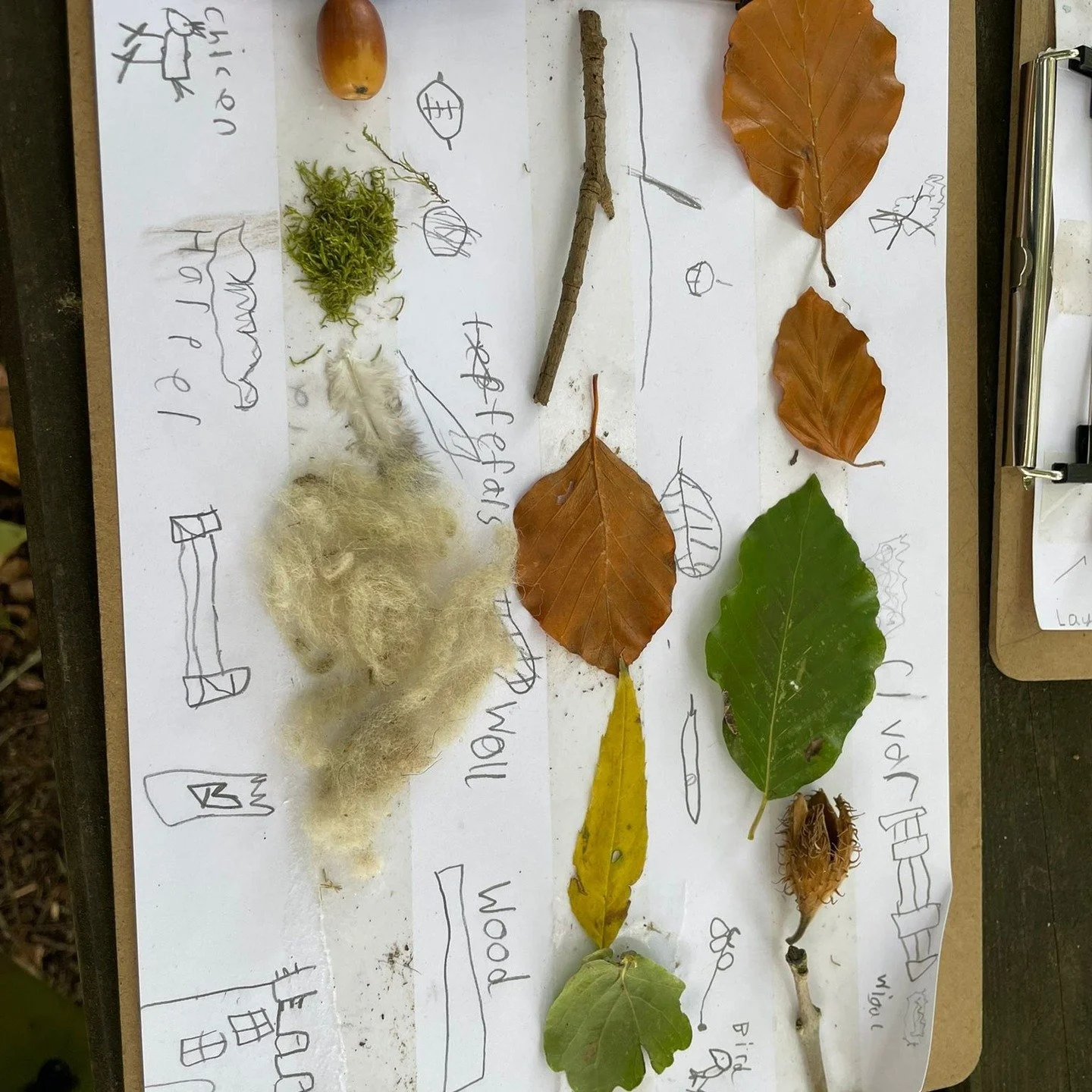 Anna has been busy at Duncombe Park with bespoke days this week. Yesterday and tomorrow running Rivers, Countryside Code and Maps days with the help of Discover Moor &amp; More and today a Geography Day for a school with 80% free school meals, which 
