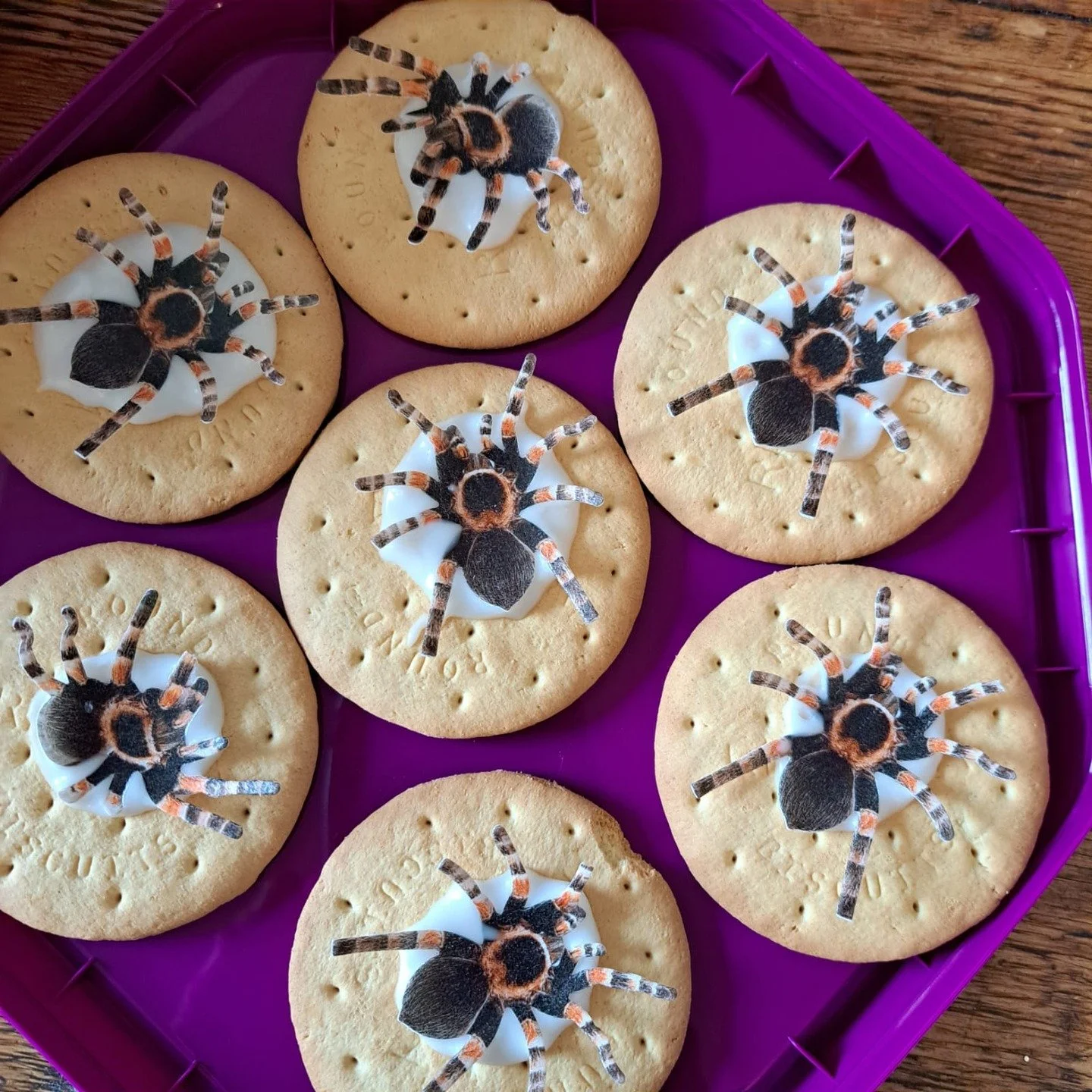 ....and what did you do at the weekend? I stuck rice paper tarantulas onto rich tea biscuits, using icing sugar as glue. 20 done, 70 to go. Find out why on Monday. #outdoorlearning #smores