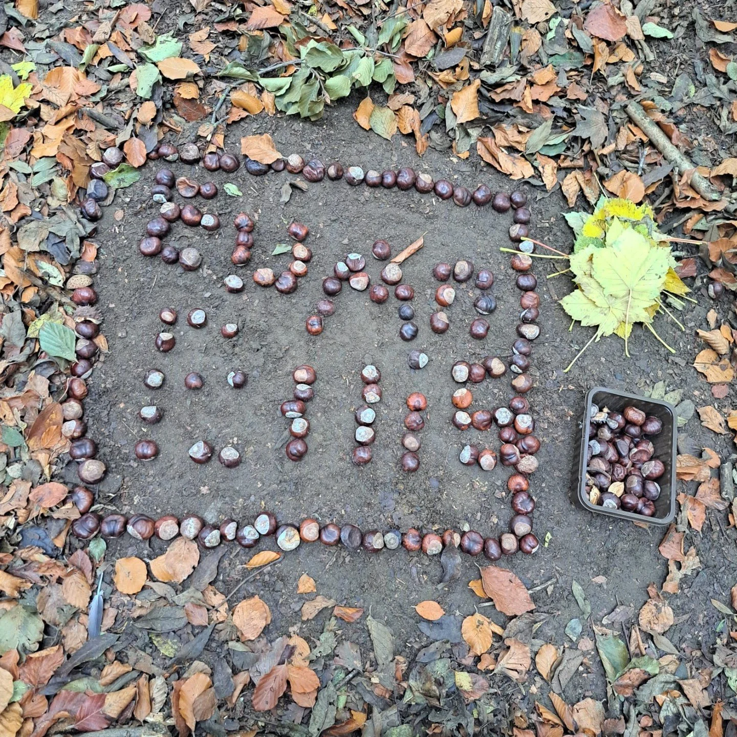 Yesterday we had a group at Ledston who had recently lost either parents or grandparents. We did a variety of things, but they made some lovely natural pictures with things from the forest. Ewan and Ellis spelled out their names. #OutdoorLearning #me