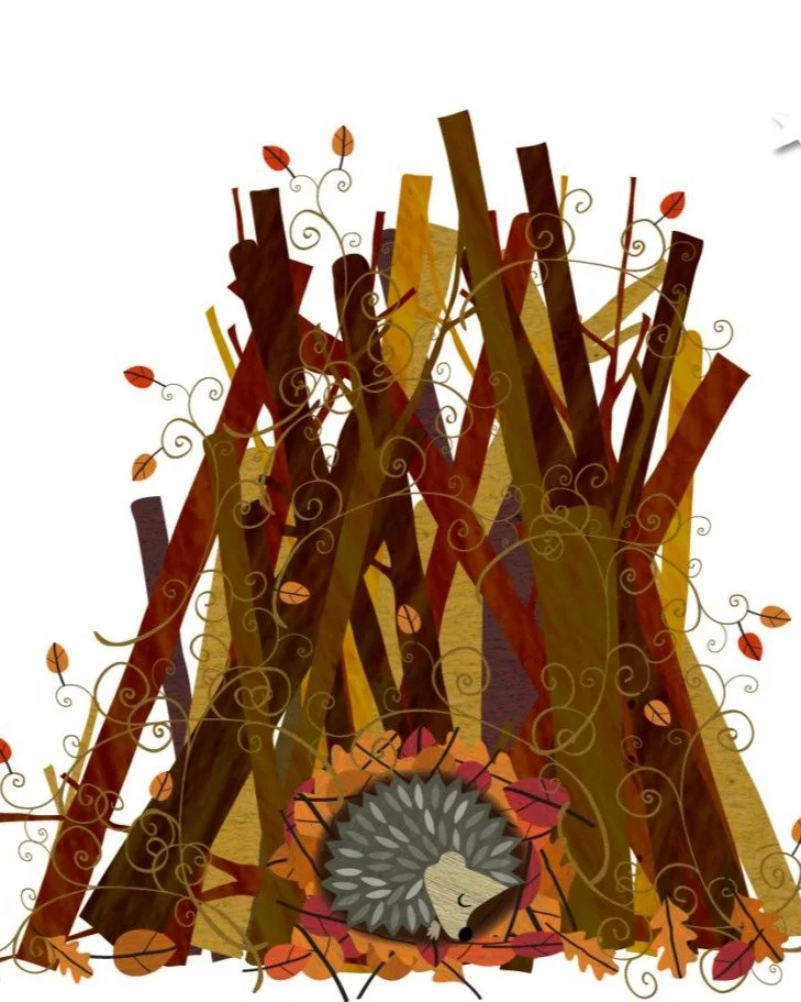 REMEMBER, REMEMBER......as you prep for the 5th November, please make sure a hedgehog hasn't sneaked into the base of your bonfire. They are having a hard enough time without man made bonfires being added to the mix. Don't let bonfire night become a