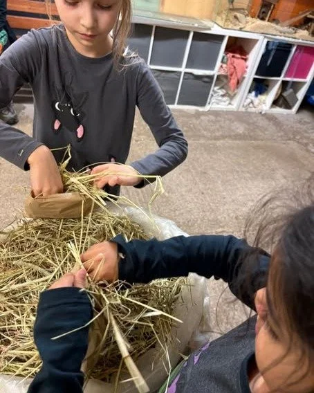 Farms for Schools members @whitepostfarmofficial are also Farms for Home Educators, what a great idea. #farmvisit #outdoorlearning #homeeducation