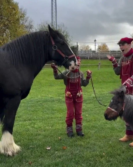 Farms for Schools members @willowsactivityfarm have some busy elves causing chaos whilst getting ready for Santa Spectacular Event.. Think they might need to update their Elf and Safety policy? 
Tickets available on their website. #farmvisit #outdoor