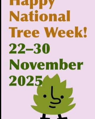 #NationalTreeWeek We have our 3 day Ledston Countryside Classroom event this week. One of the activities is to plant a Christmas Tree seed. #outdoorlearning
