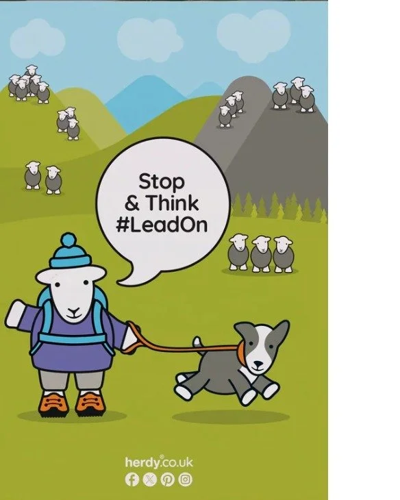 New law coming in March: what dog owners need to know 🐑
Dogs that chase or attack livestock can cause serious harm, even without physical contact. Fear and stress can lead to injuries, miscarriages, or death of farm animals. These situations are dev
