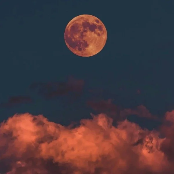 Worm Moon 2026 in the UK: The Worm Moon, the full Moon of March 2026, reached its peak at 11:38 am on Tuesday, March 3, 2026, according to the Royal Observatory Greenwich. It looked pretty good as I left home at 6.15 this morning.
It also coincides w