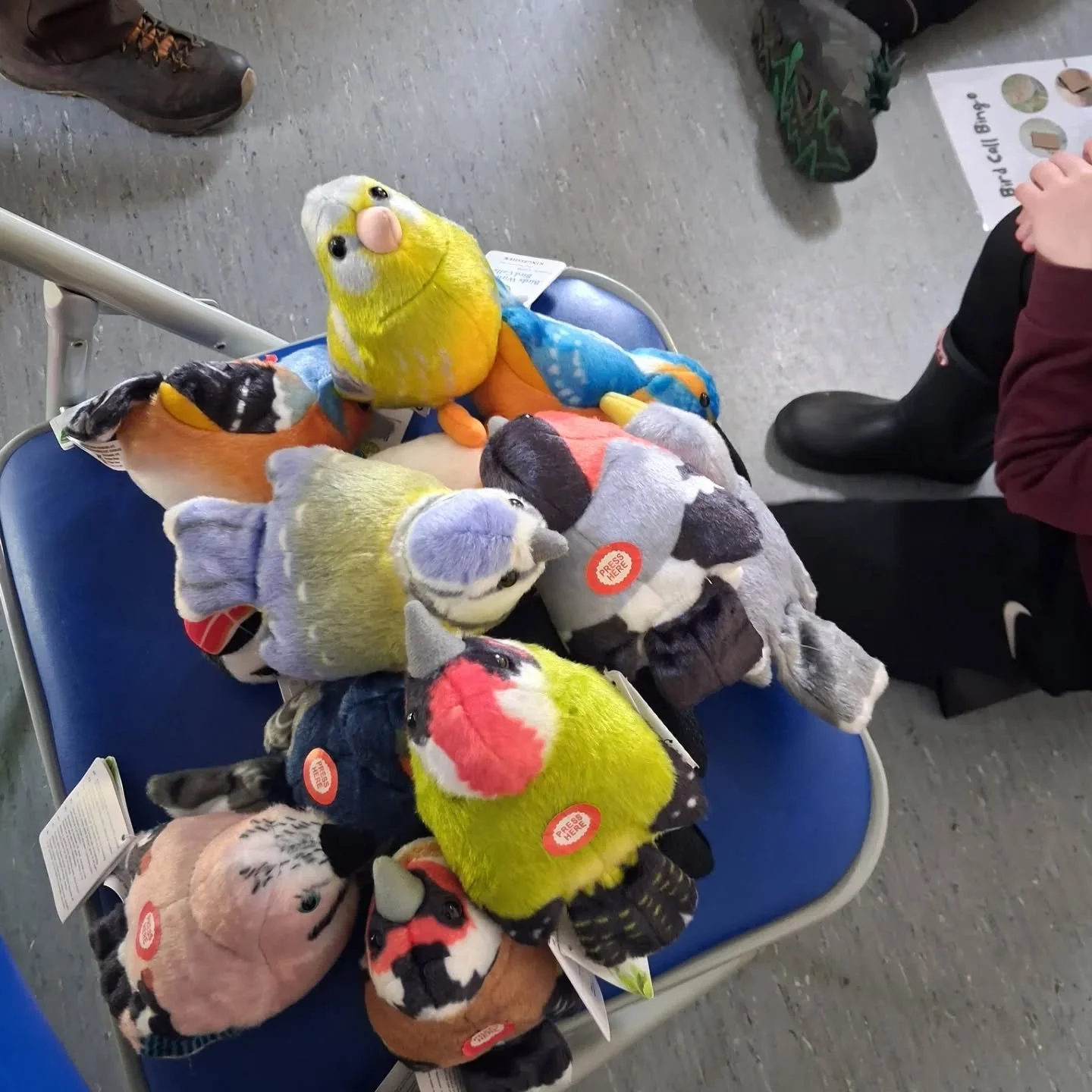 We had our first Woodland day at Ledston this week. We played birdsong bingo and the coach driver hoovered his carpets. #outdoorlearning #spring #springclean