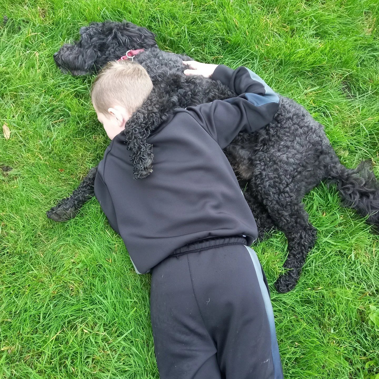 Happy New Year all. The Countryside Learning team are busy behind the scenes organising bookings and activities for our many events this year. 
Unfortunately, one of our key team members won't be with us this year. Dill the dog.
Dill was always by my