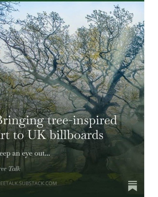 The Tree Council are bringing art.....
Nature covers so many curriculum subjects, making learning fun and educational and hopefully encouraging the children to love and care for our beautiful environment. It will be in their hands and under their ste