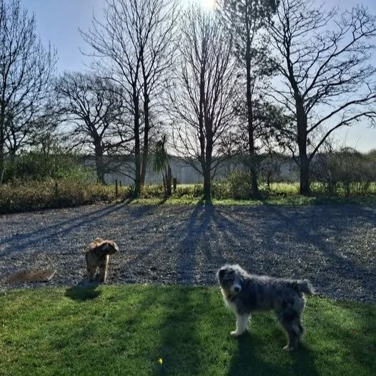Beautiful day at Ledston. Just might be first picnic of the year for the children at lunchtime. #outdoorlearning