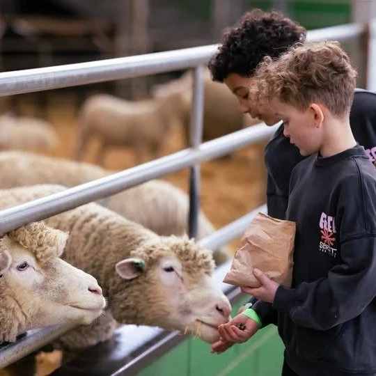 Easter hols weather not up to much? Take the children to a fun and educational day out at @bockettsfarm , one of our Farms for Schools member farms.
There&rsquo;s plenty to do whatever the weather, with a range of activities indoors and out:
⠀⠀⠀⠀⠀⠀⠀⠀