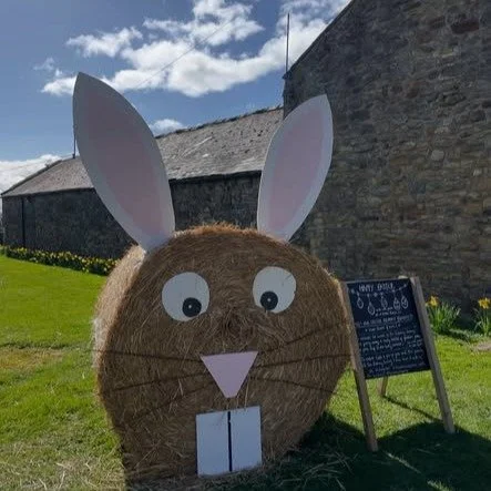 Lovely bunny at Farms for Schools members @broomhousefarm go and take a photo for a chance to win a basket of delicious farm shop treats #farmvisit #outdoorlearning