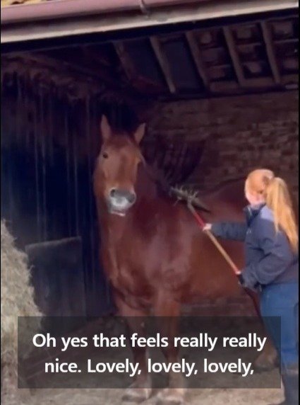 Farms for Schools members @easton_farmpark know how to scratch that itch. Are you itching to go and see? Get yourselves over. #farmvisit #outdoorlearning #scratching