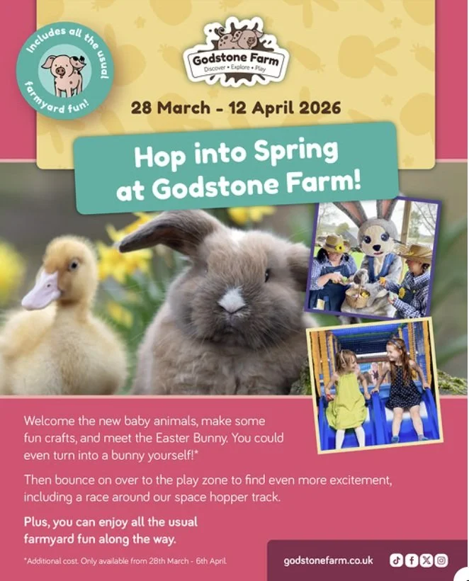 Still time to hop into Spring at Farms for Schools members @godstonefarm The security chicken has had a busy time of it (see FB post). #farmvisit #outdoorlearning