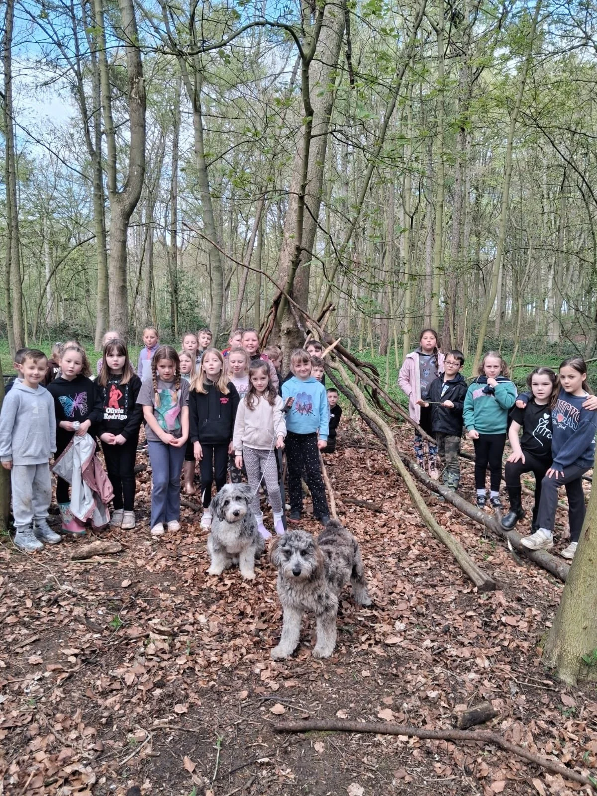 While some of you are still Easter hols, we have been working on both the Abbeystead and Ledston Estates this week. Sara has been running a 3 day rivers event at Abbeystead and I have been doing woodland days at Ledston. Here are children from Bolton