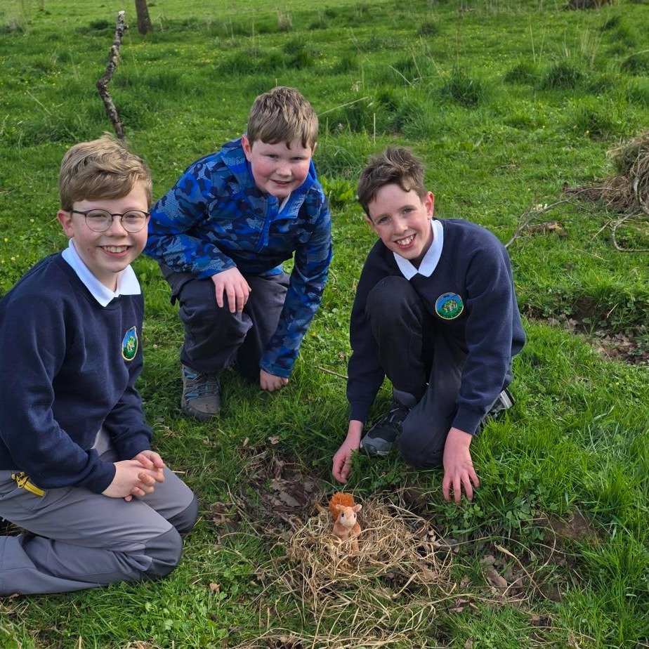 This week has seen the start of our busy season. We have reached over 500 children at Duncombe Park Estate, Helmsley Walled Gardens, Lowther Castle and Gardens and at Dawnay Estates. 
Thanks to all the help from the Estates; other organisations and v