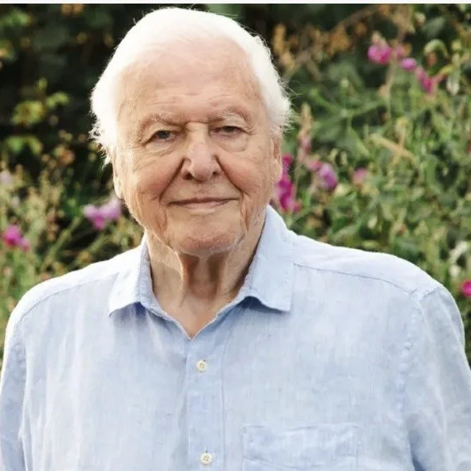 Happy 100th Birthday to Sir David Attenborough!
