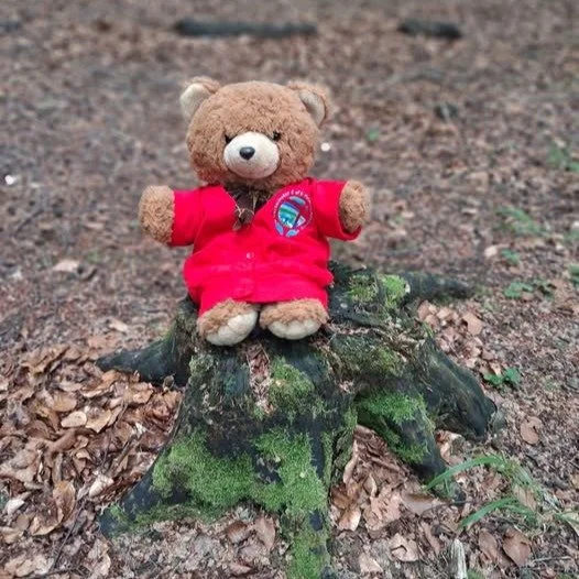 If you go down to the woods today.........#outdoorlearning