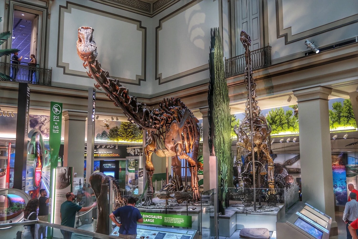 Smithsonian Museum Of Natural History Smithsonian Museum Of Natural History