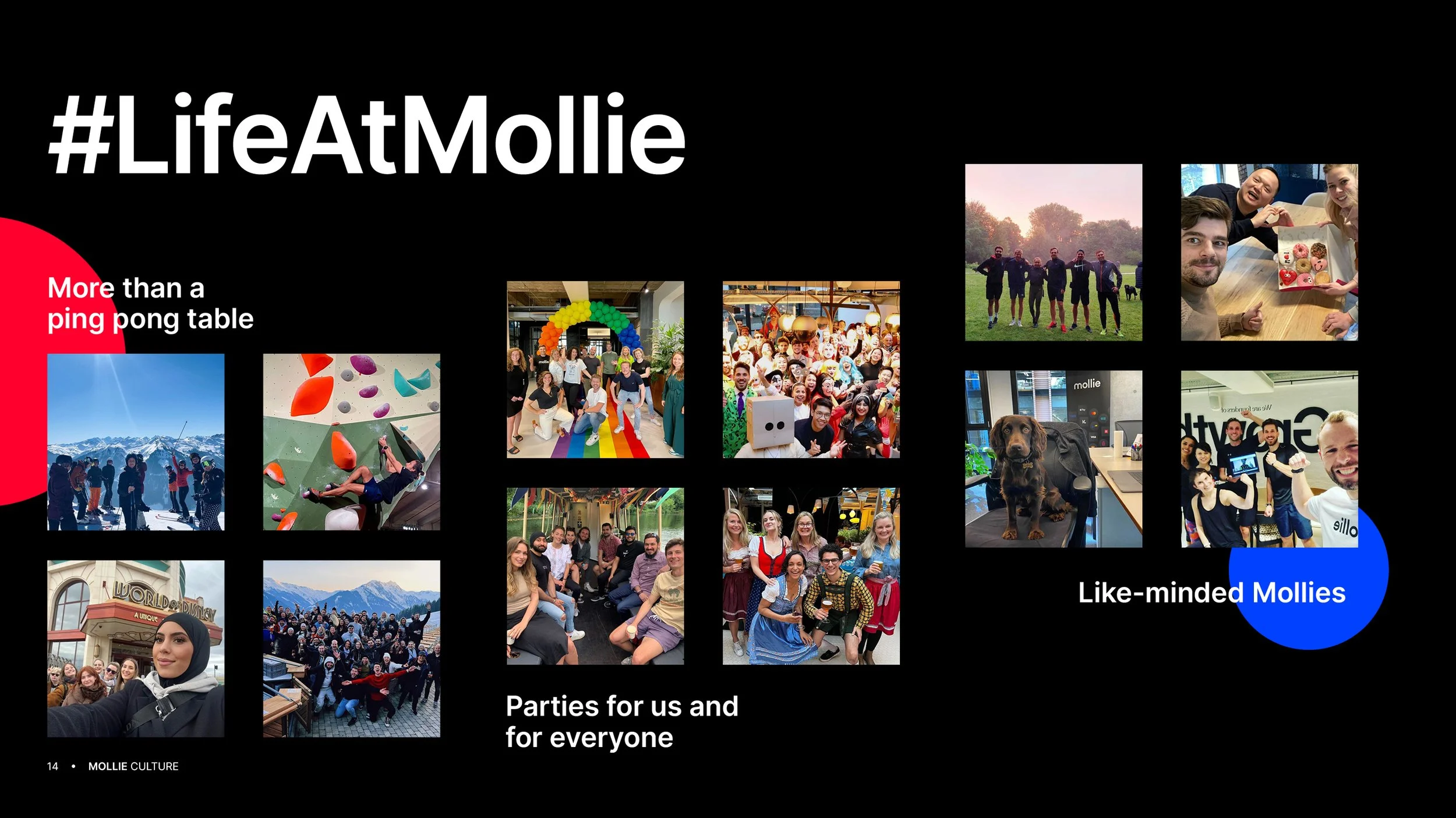 mollie-employer-brand-culture-guide-internal14.jpg