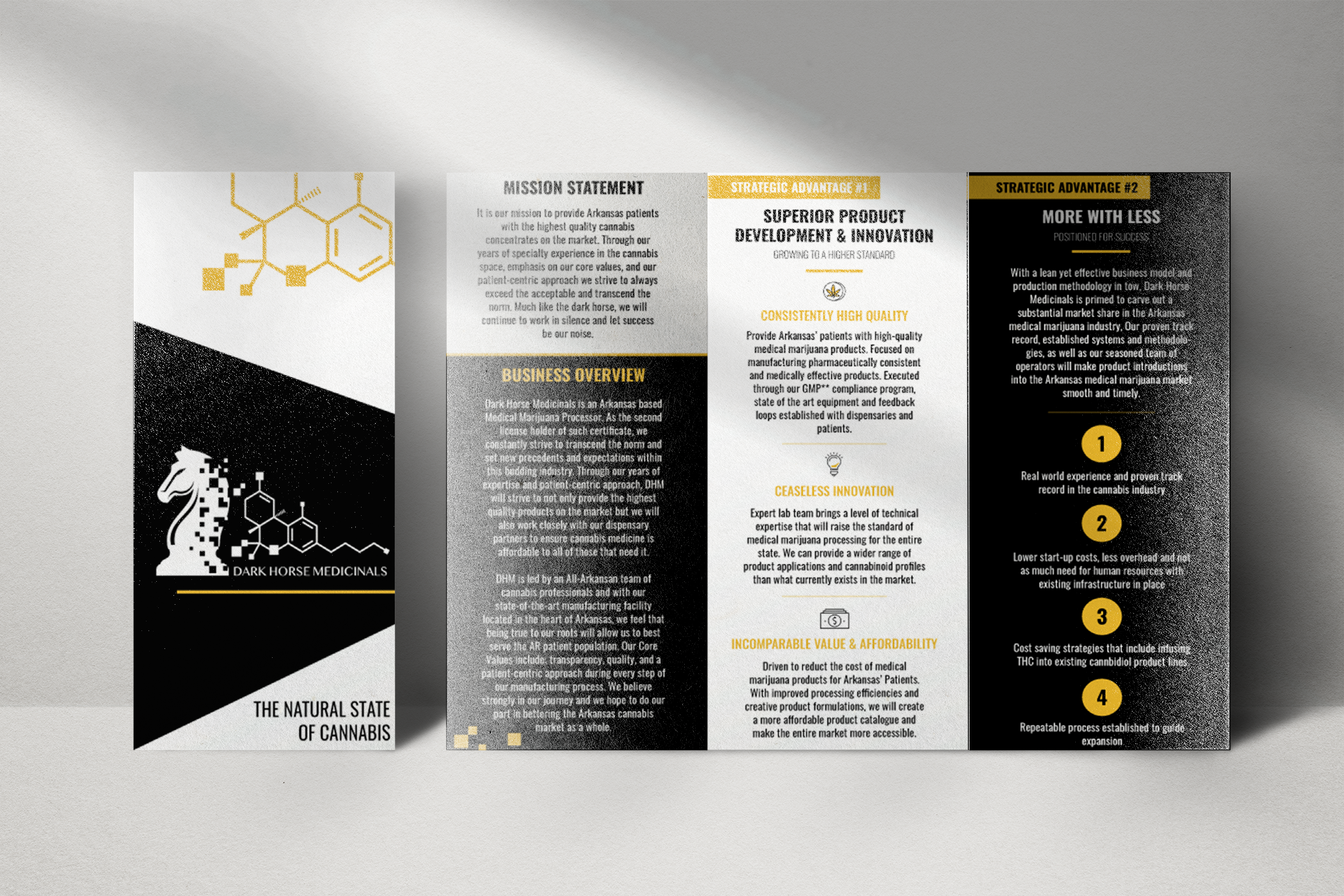 DHM Pamphlet MOCKUP.png