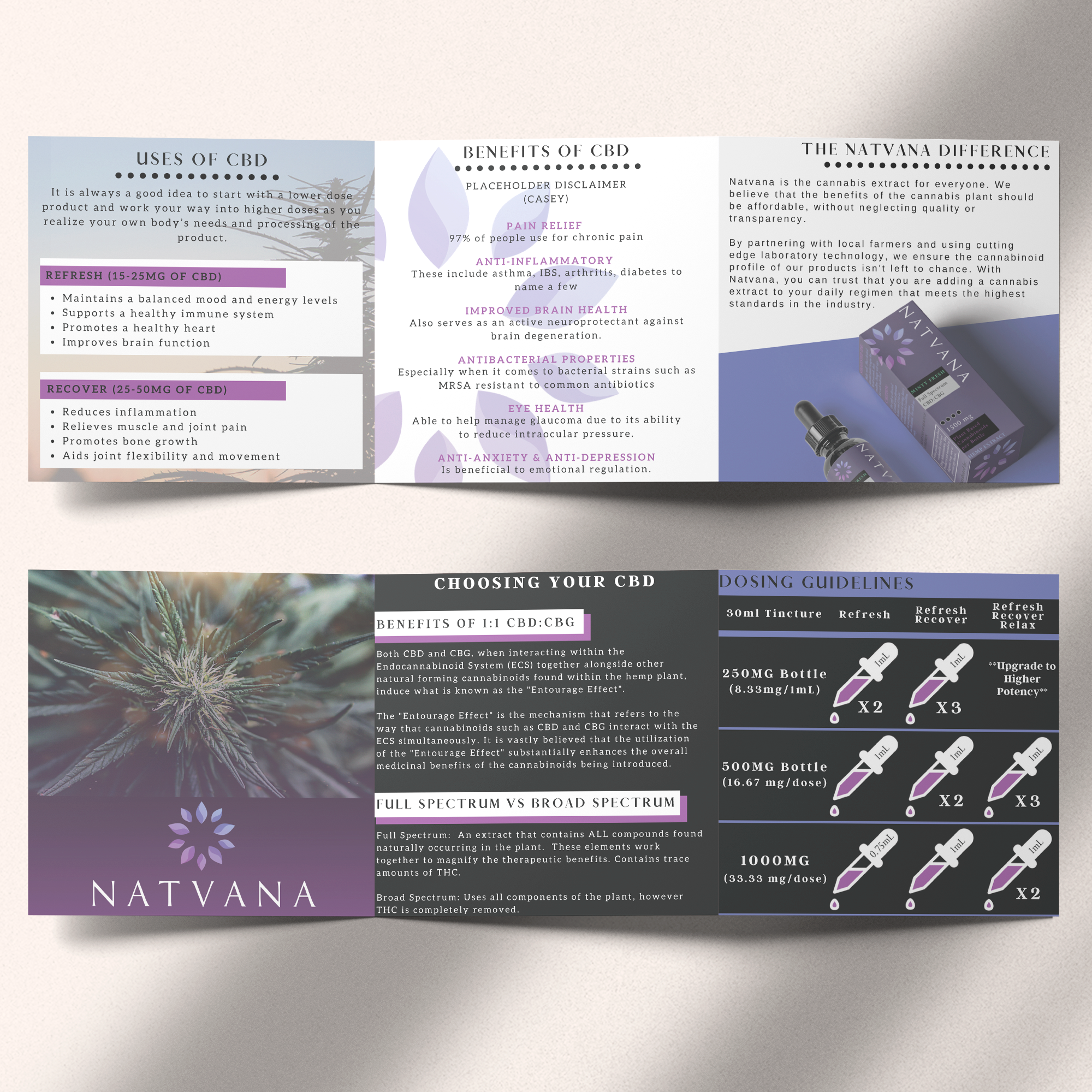 natvana brochure mockup.png