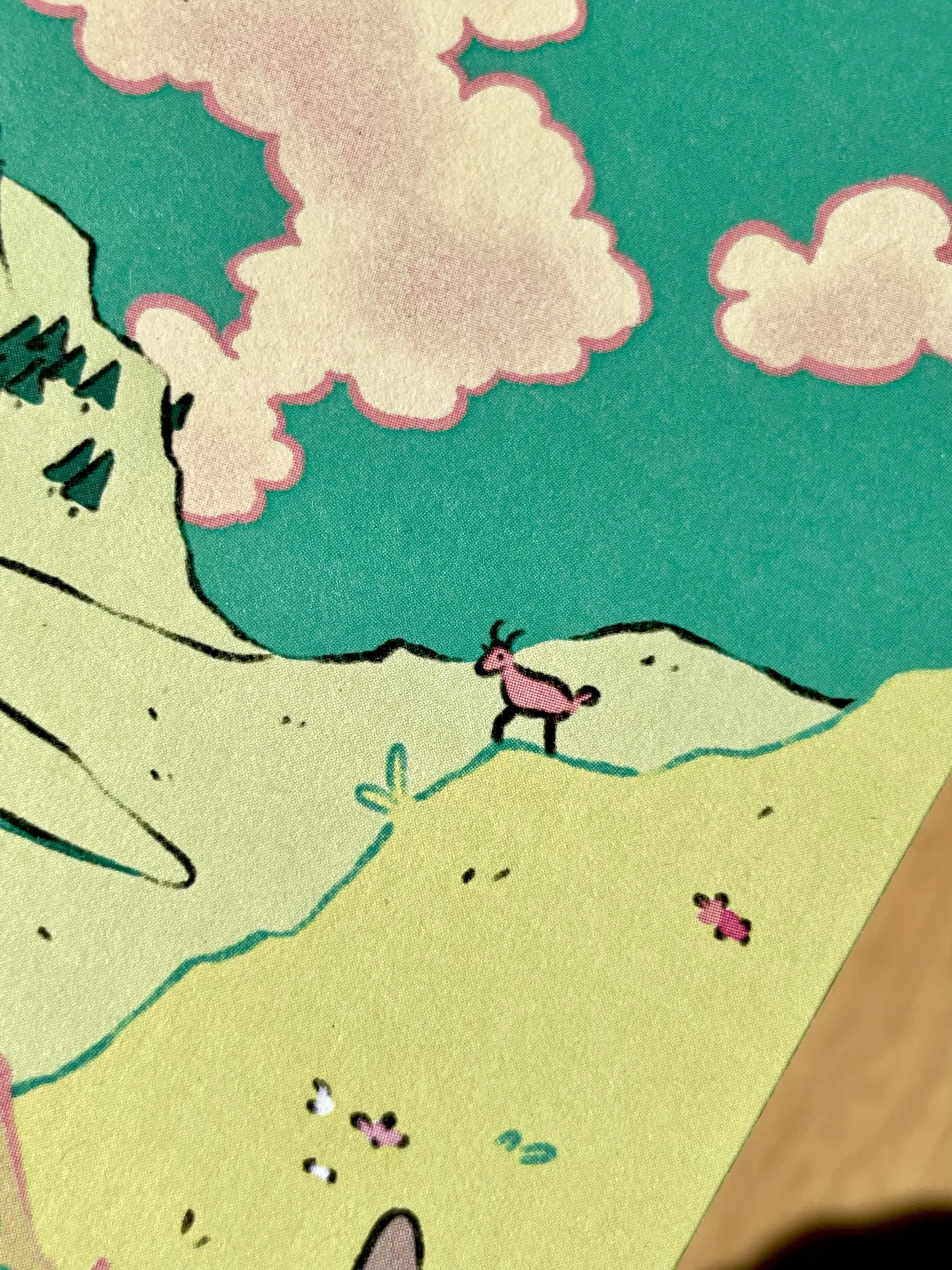 adventuring2.jpg