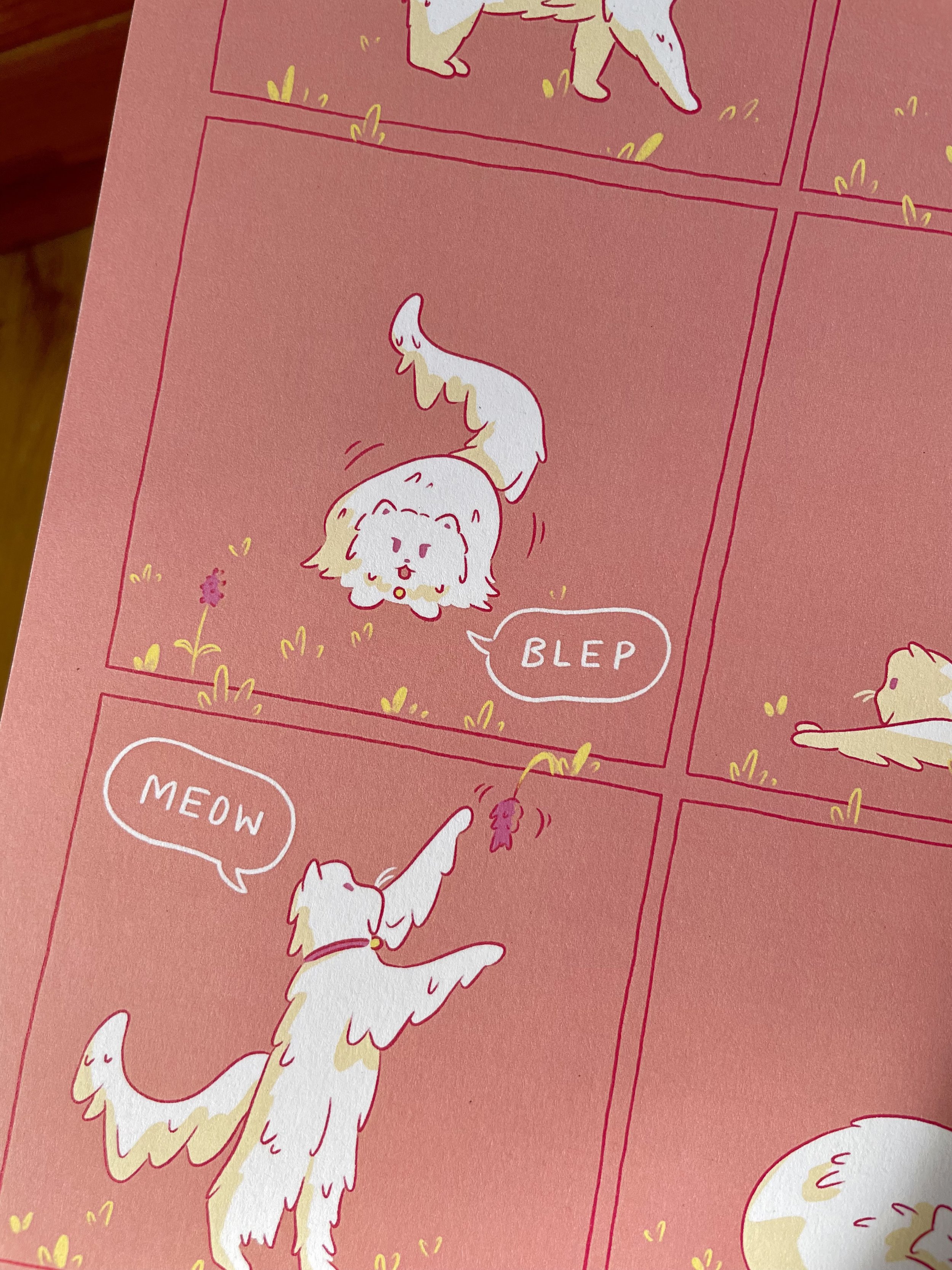 cat_shenanigans3.jpeg