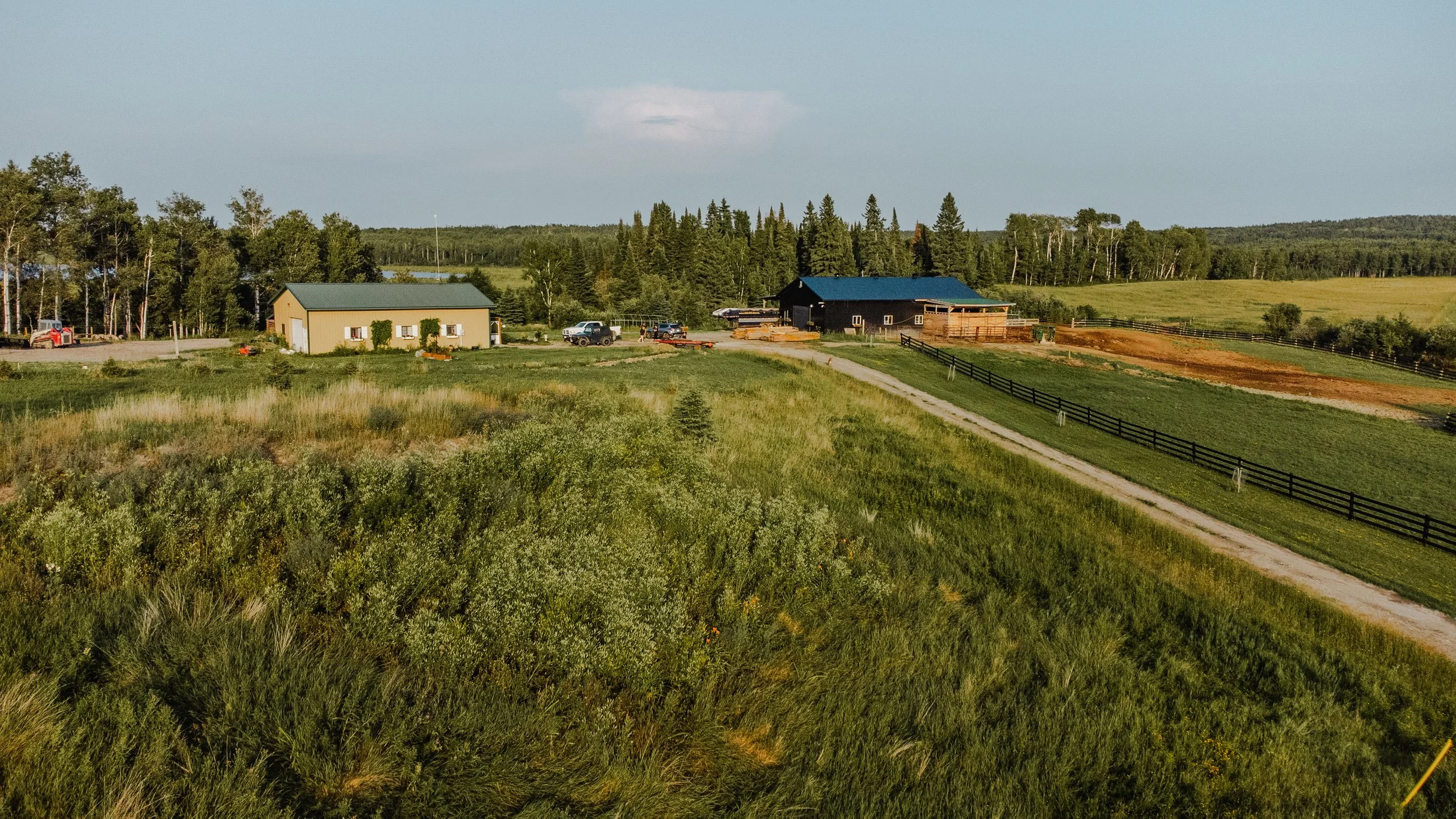 DJI_0151.jpg