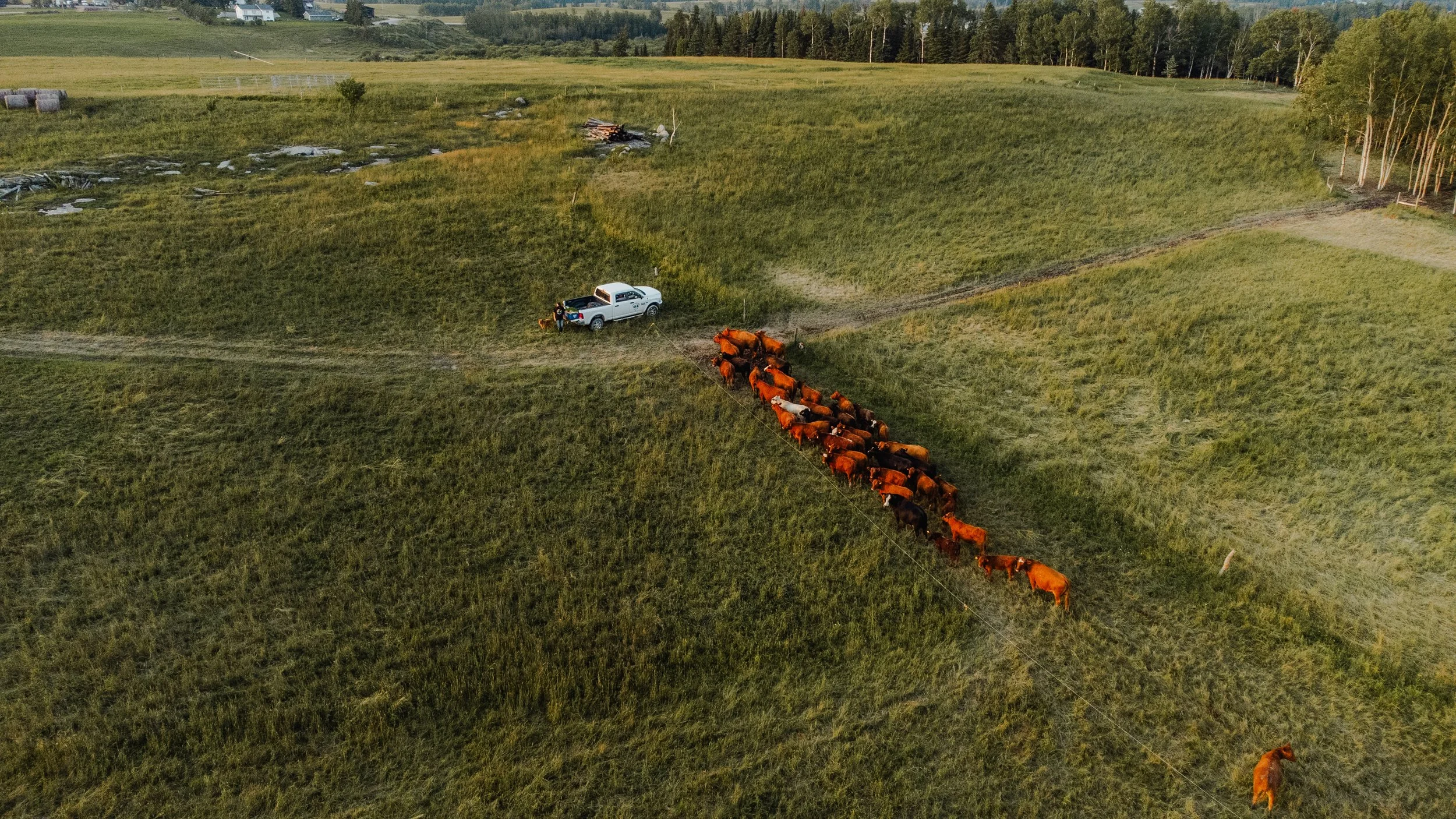 DJI_0167.jpg