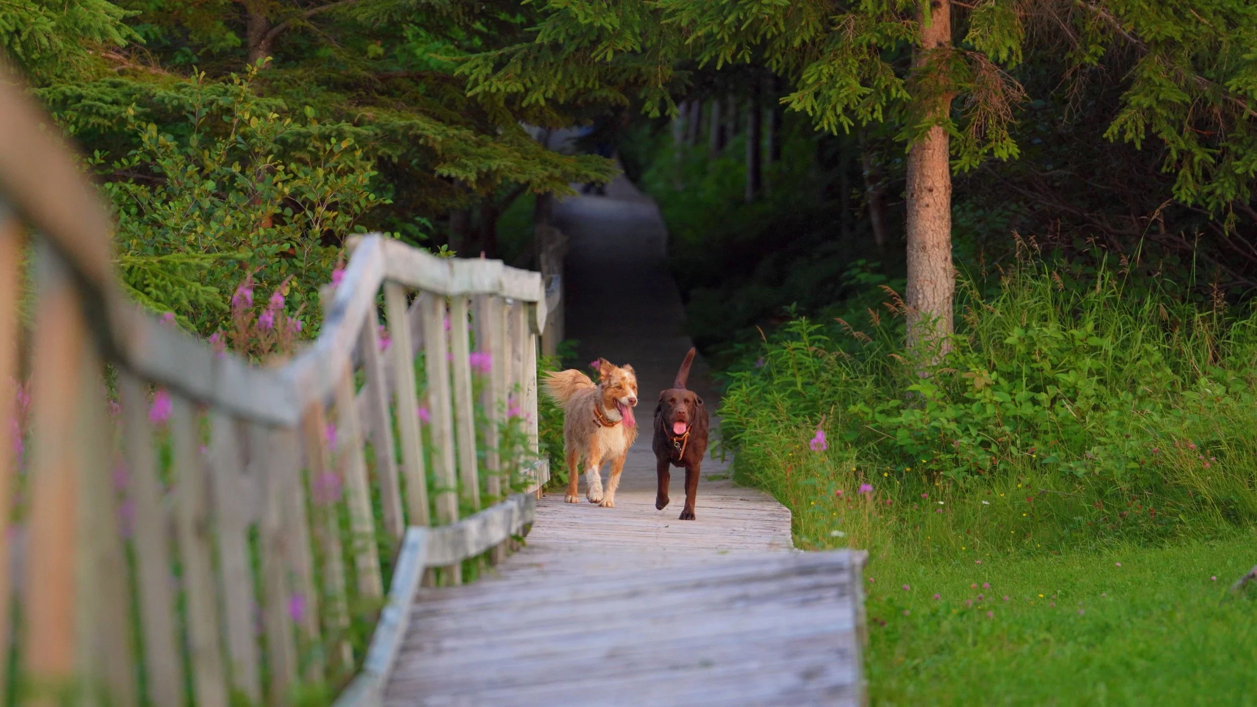 Still 2025-09-29 180938_1.1.1.jpg