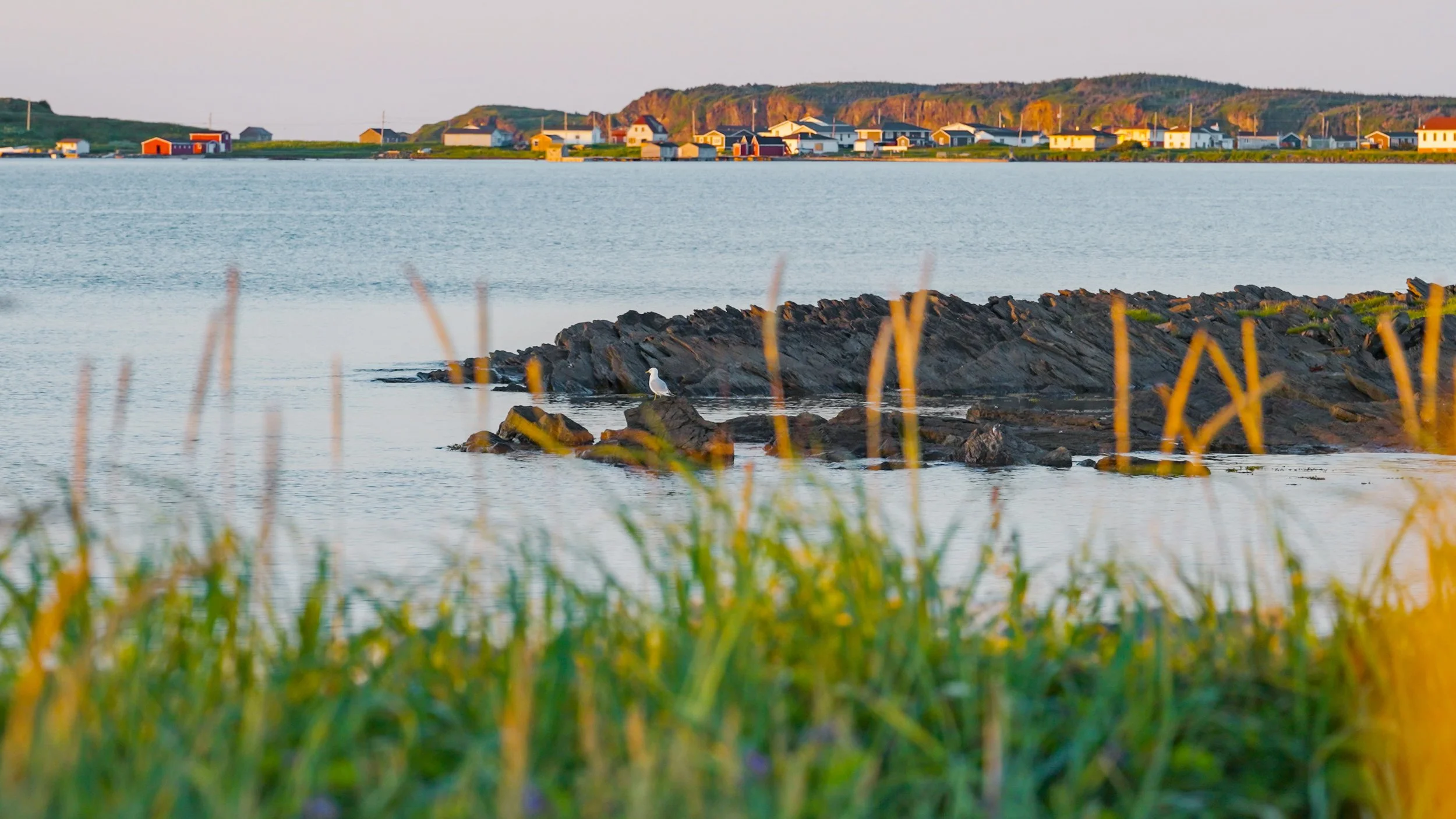 Still 2025-09-15 213652_1.7.2.jpg