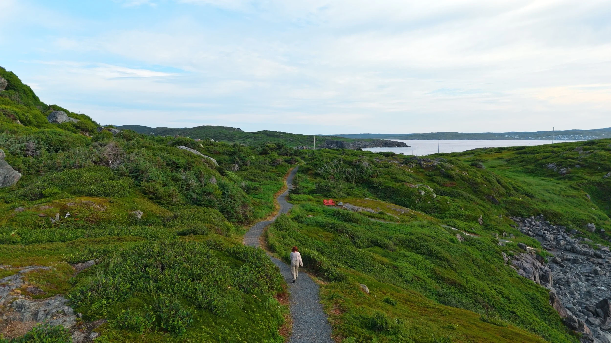 Still 2025-09-15 230831_1.37.1.jpg