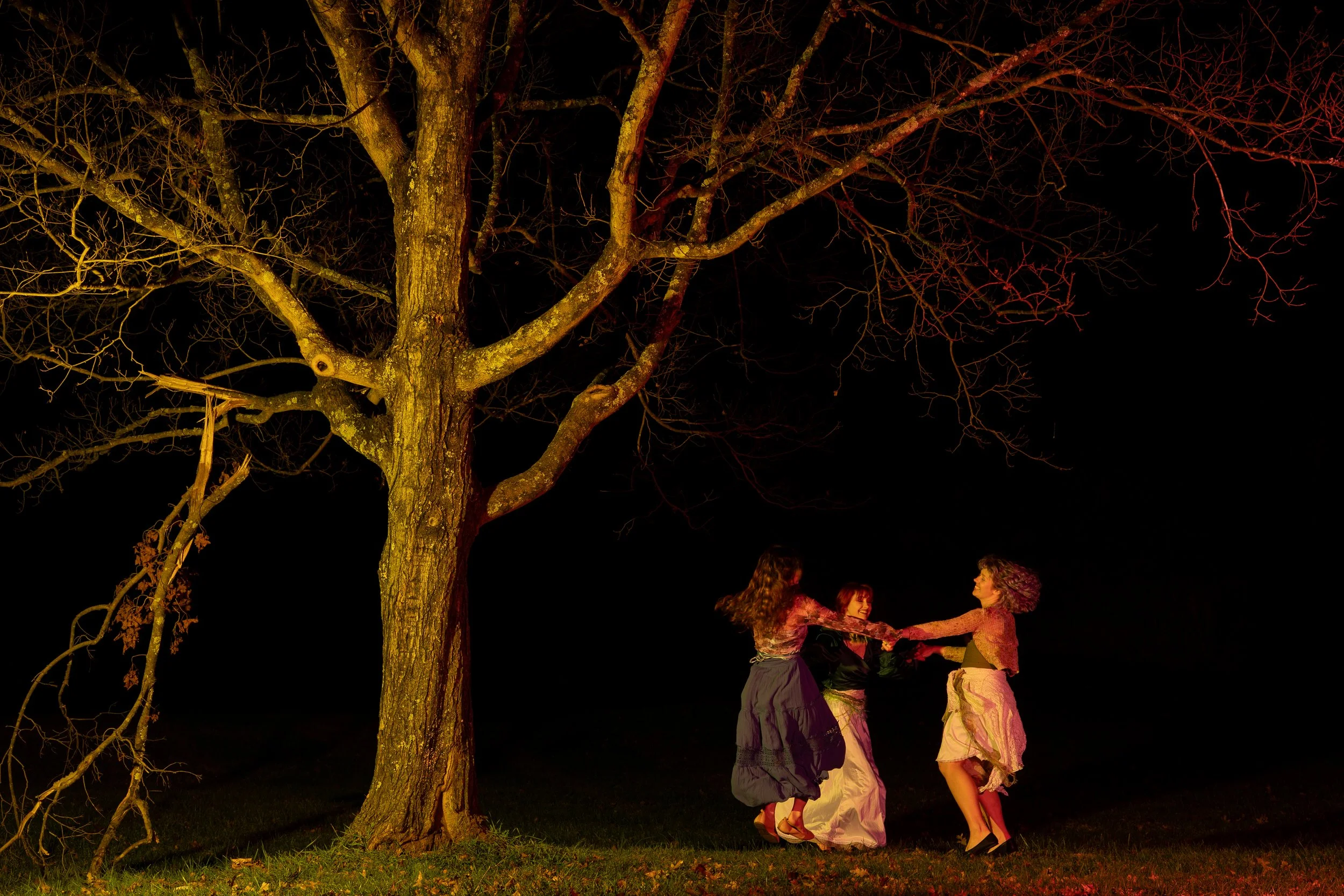 MIDSUMMER NIGHT'S DREAM