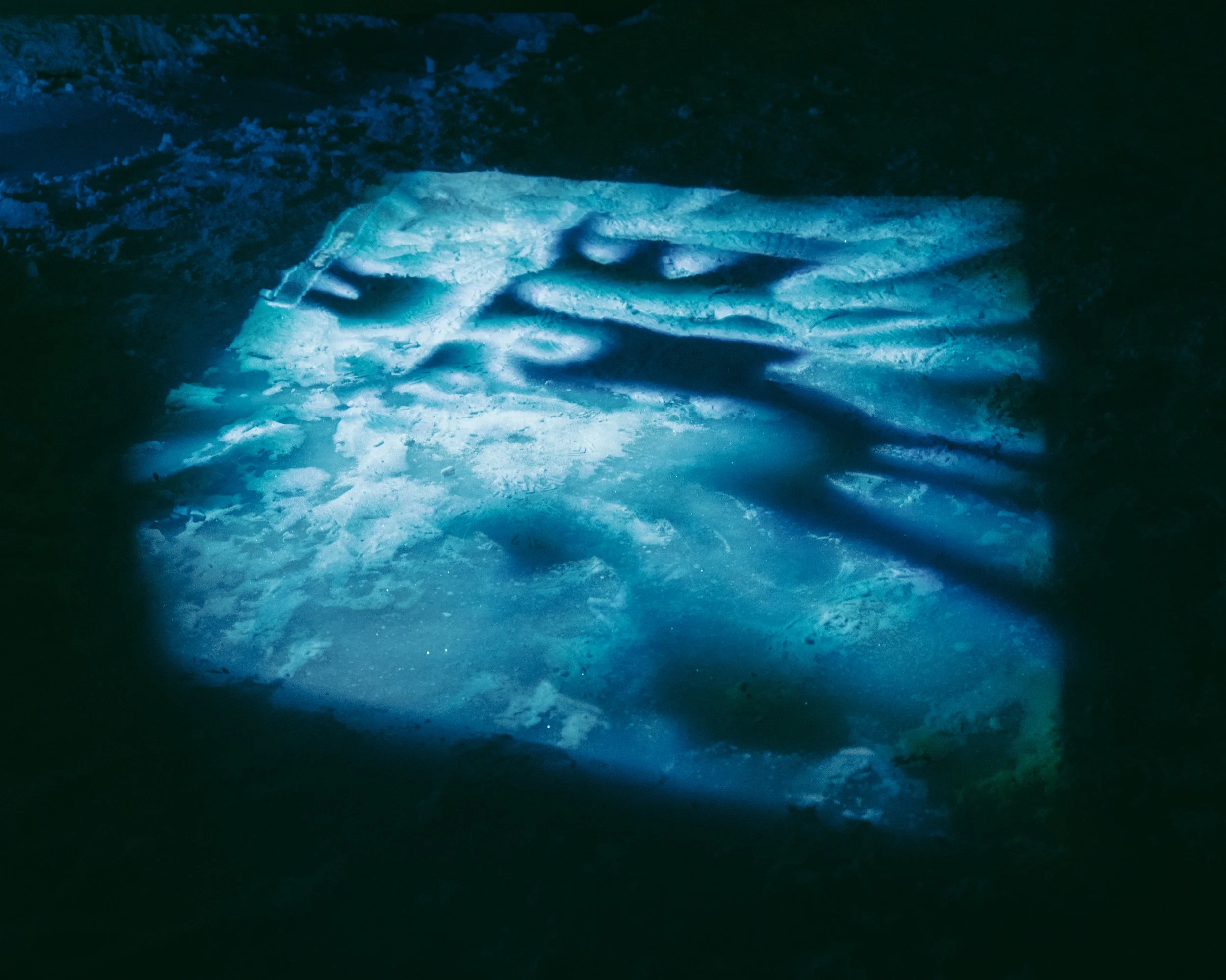 phenology wheel_juliet farmer-22.jpg