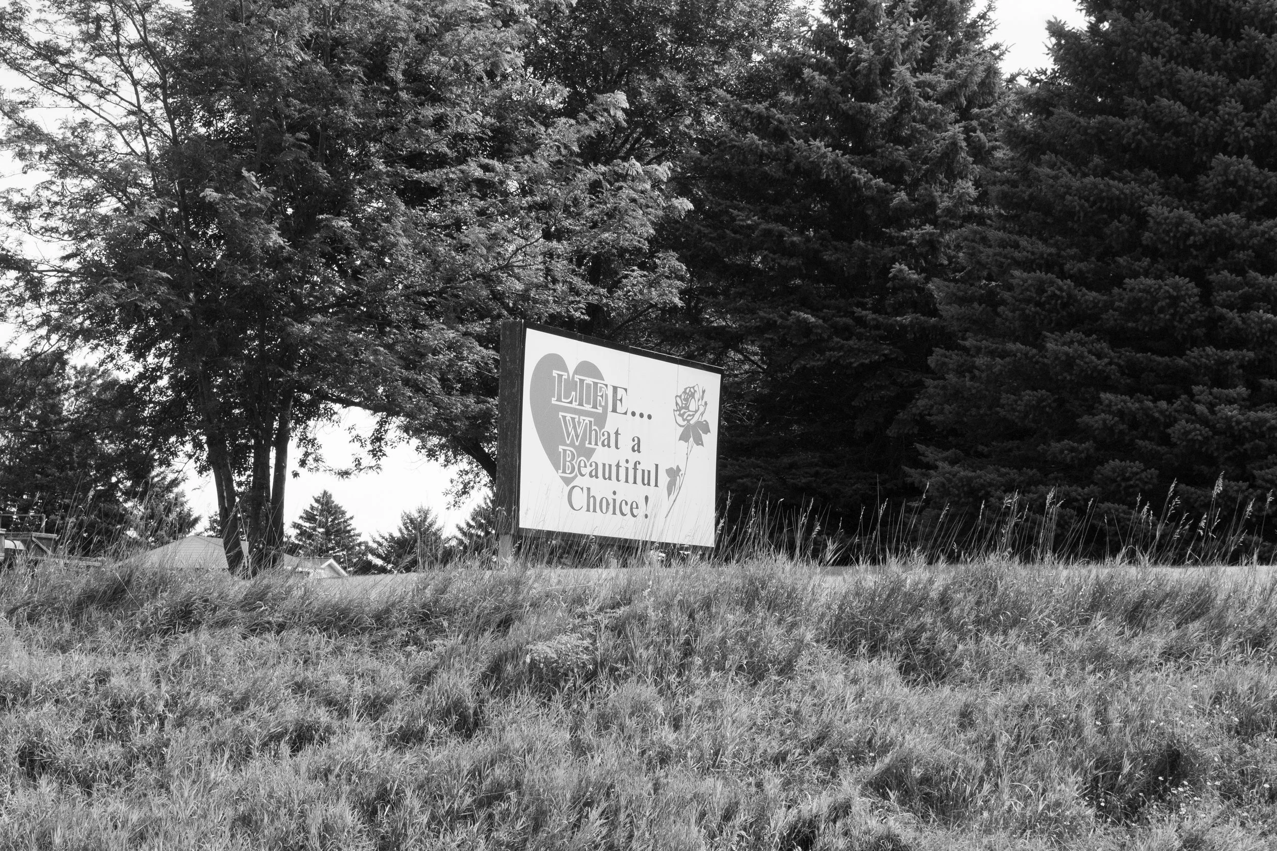Marshall, MN