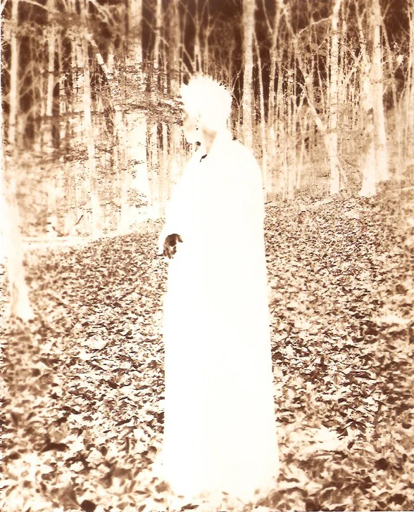 Private Woods on Cascade I, 2016-2018