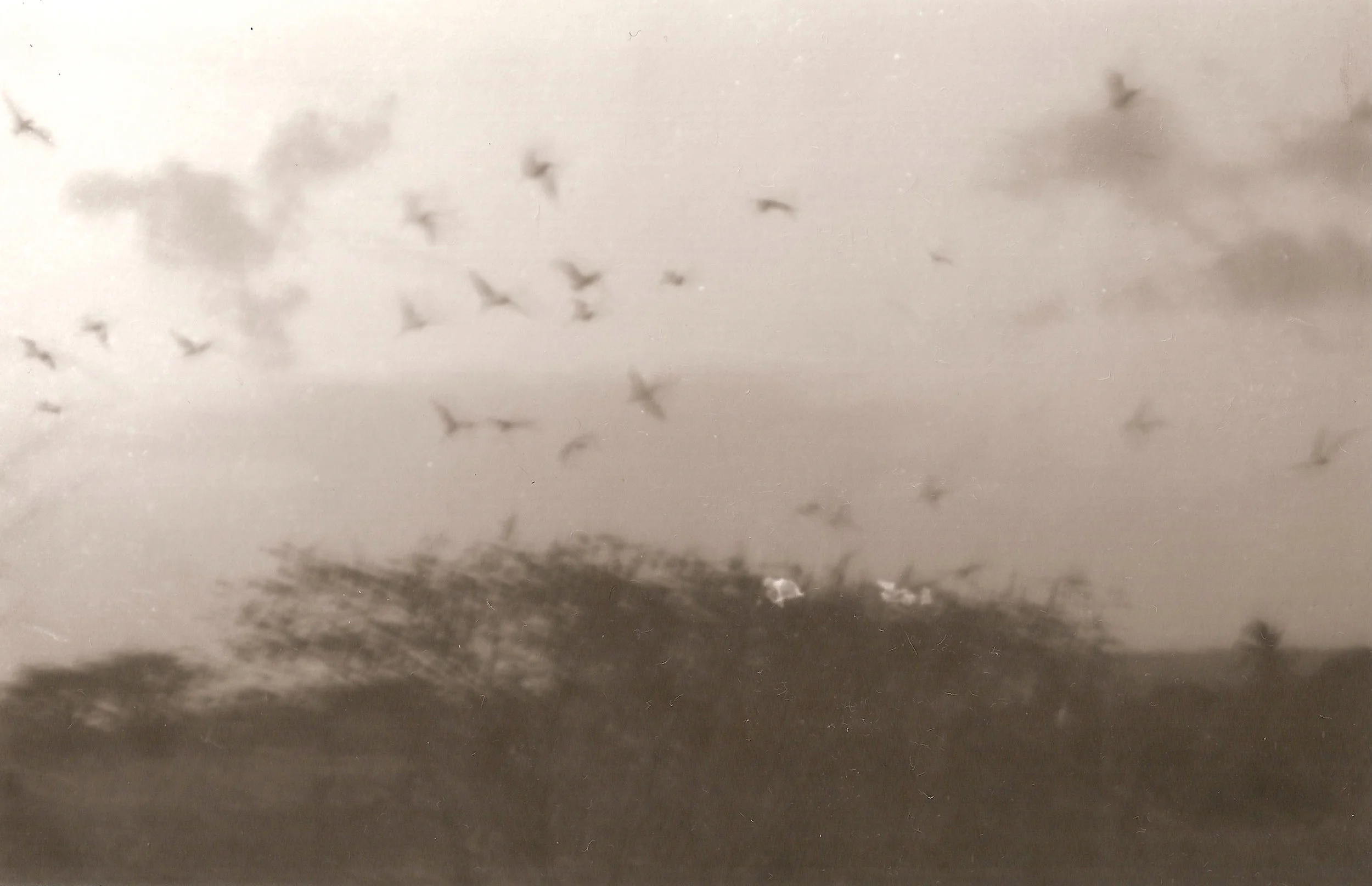 Circling Feathers, 1994–2018