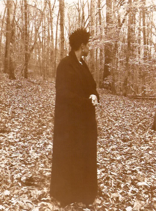 Private Woods on Cascade II, 2016-2018