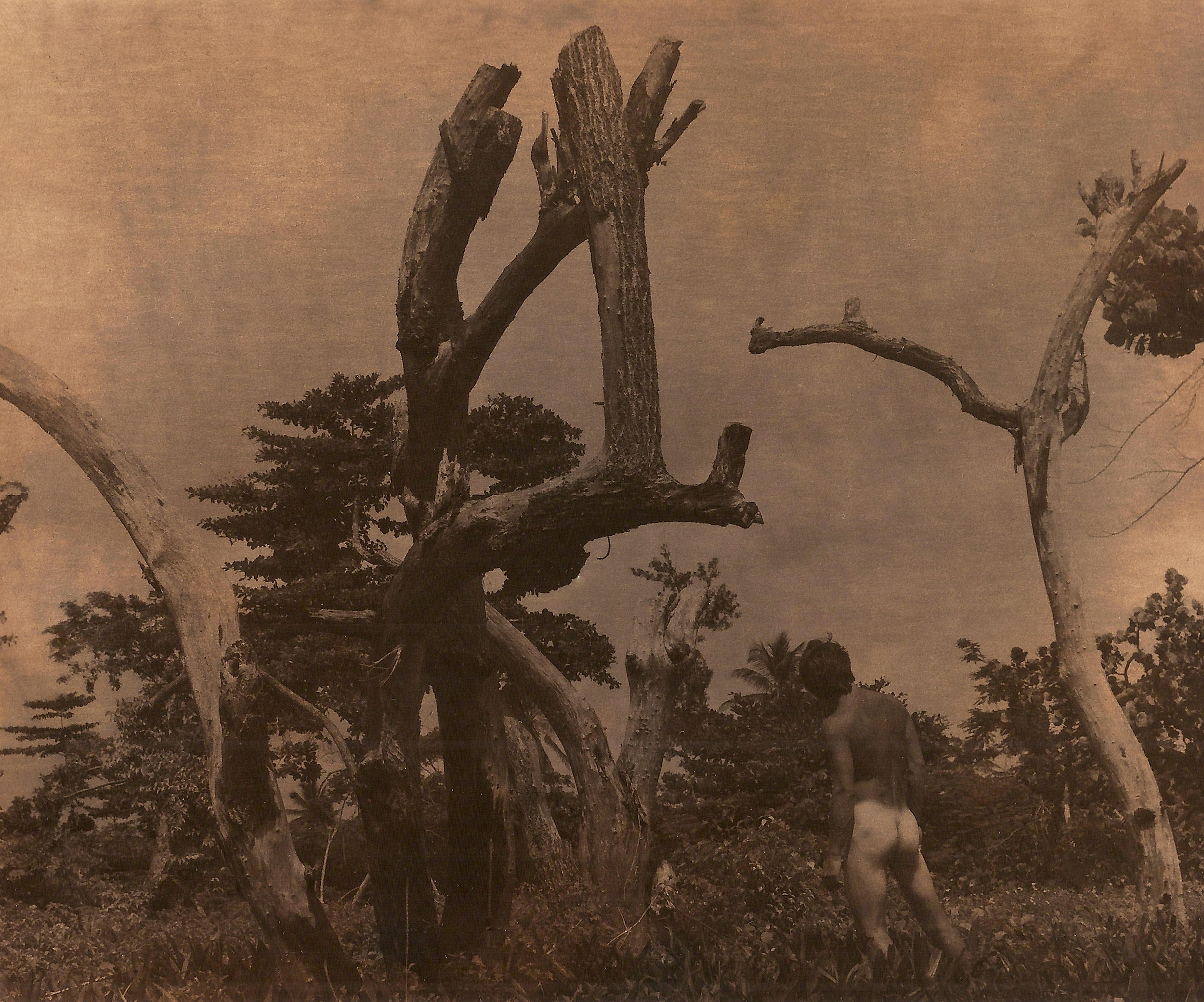 Andrew at Bloody Bay, 1990-2017