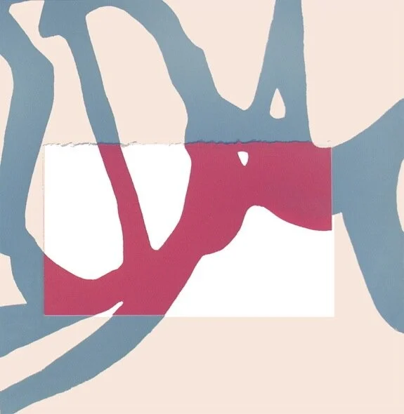 Branch-11.5-11.25 for site.jpeg