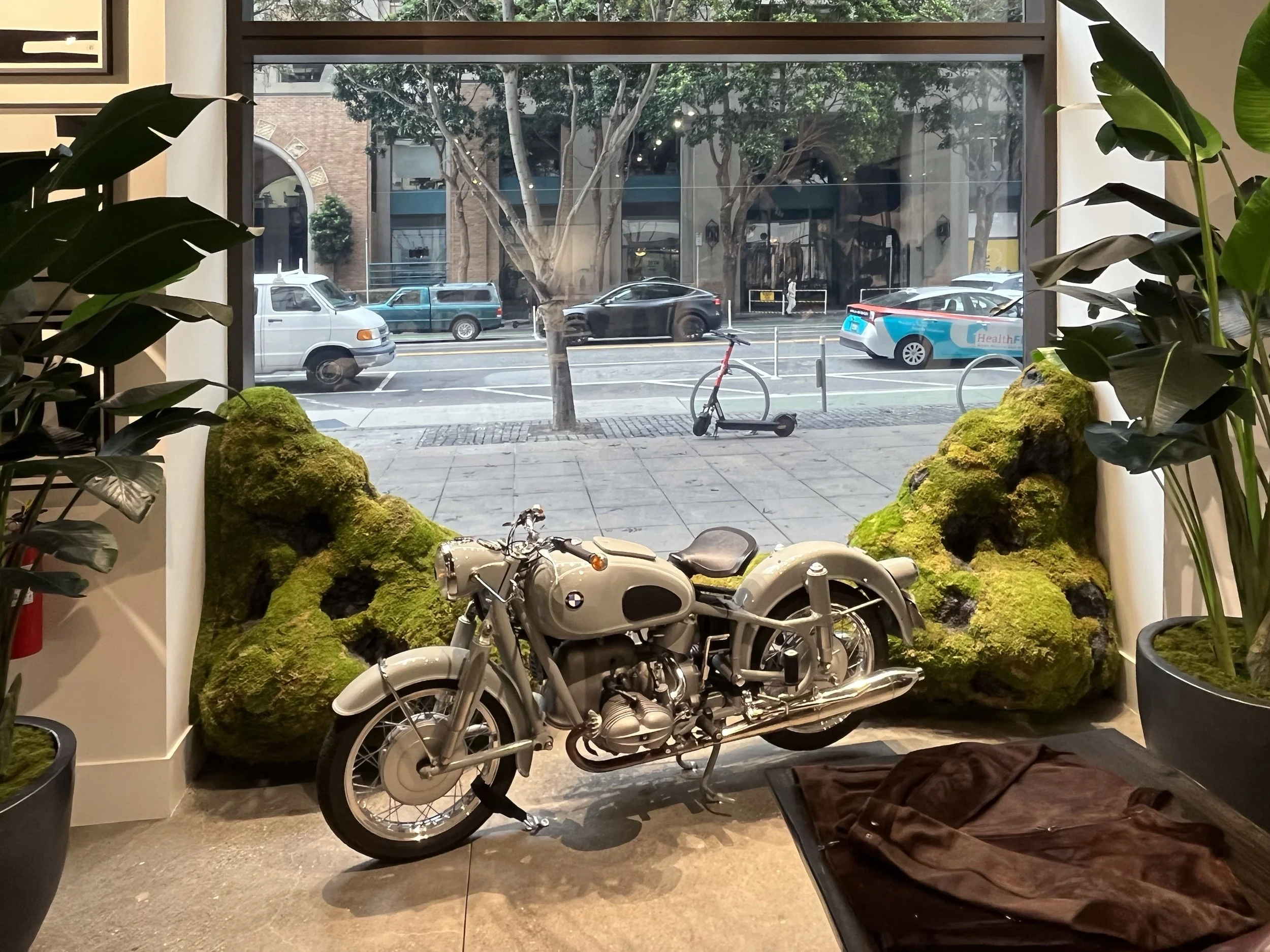 Moss window display.jpg