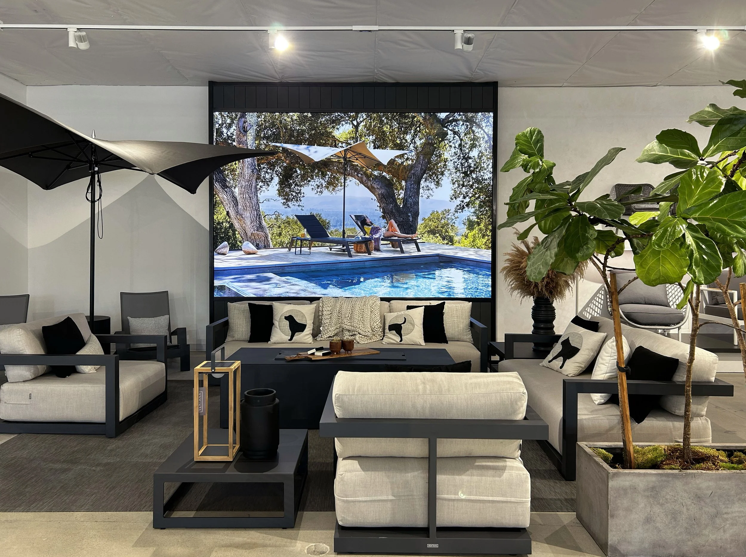 Backlit poster store fixture.jpg