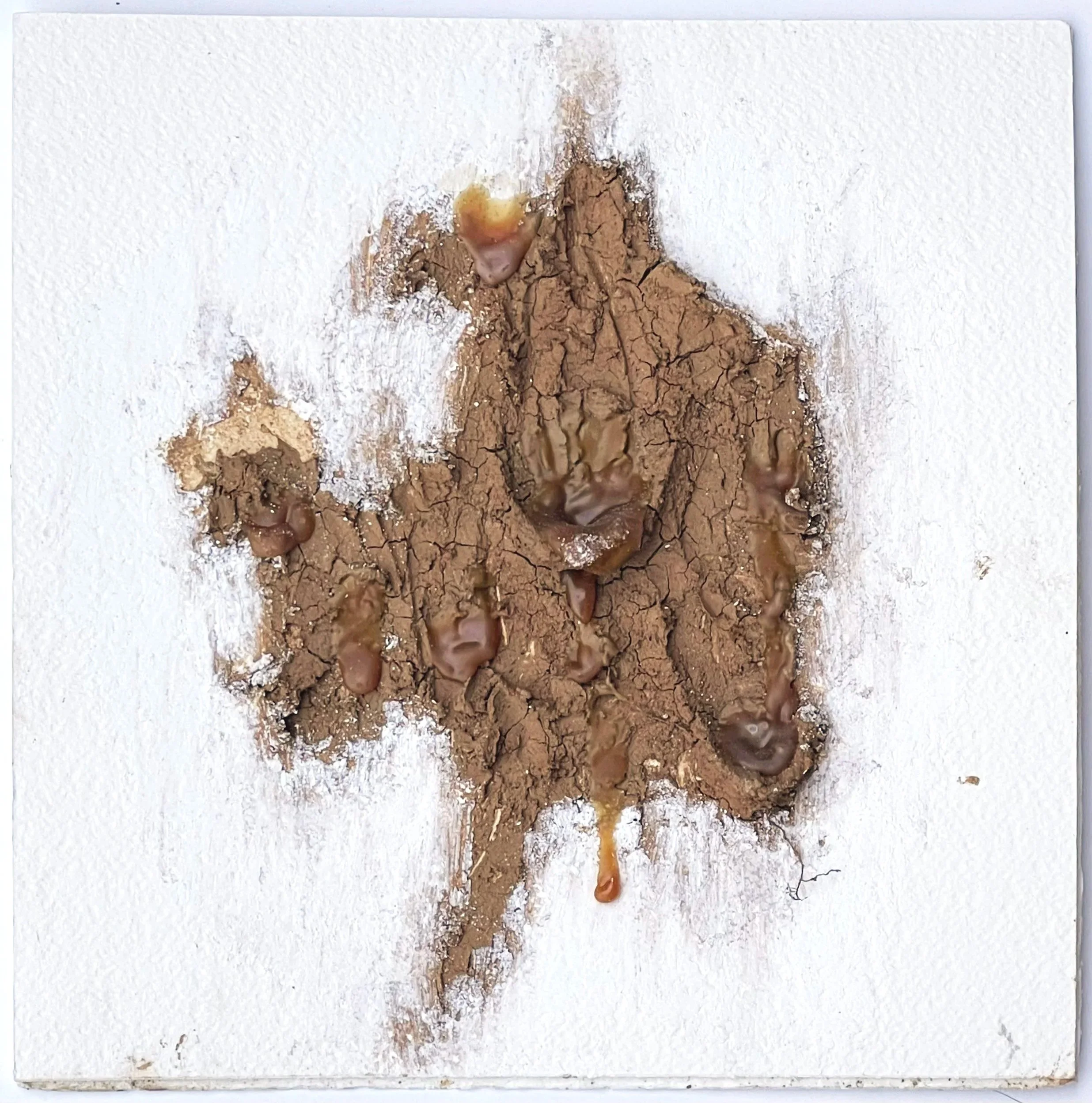 Untitled I. Hand processed local clay, latex, Conté crayon on paper slab, 11x1x11in, 2021-2022.