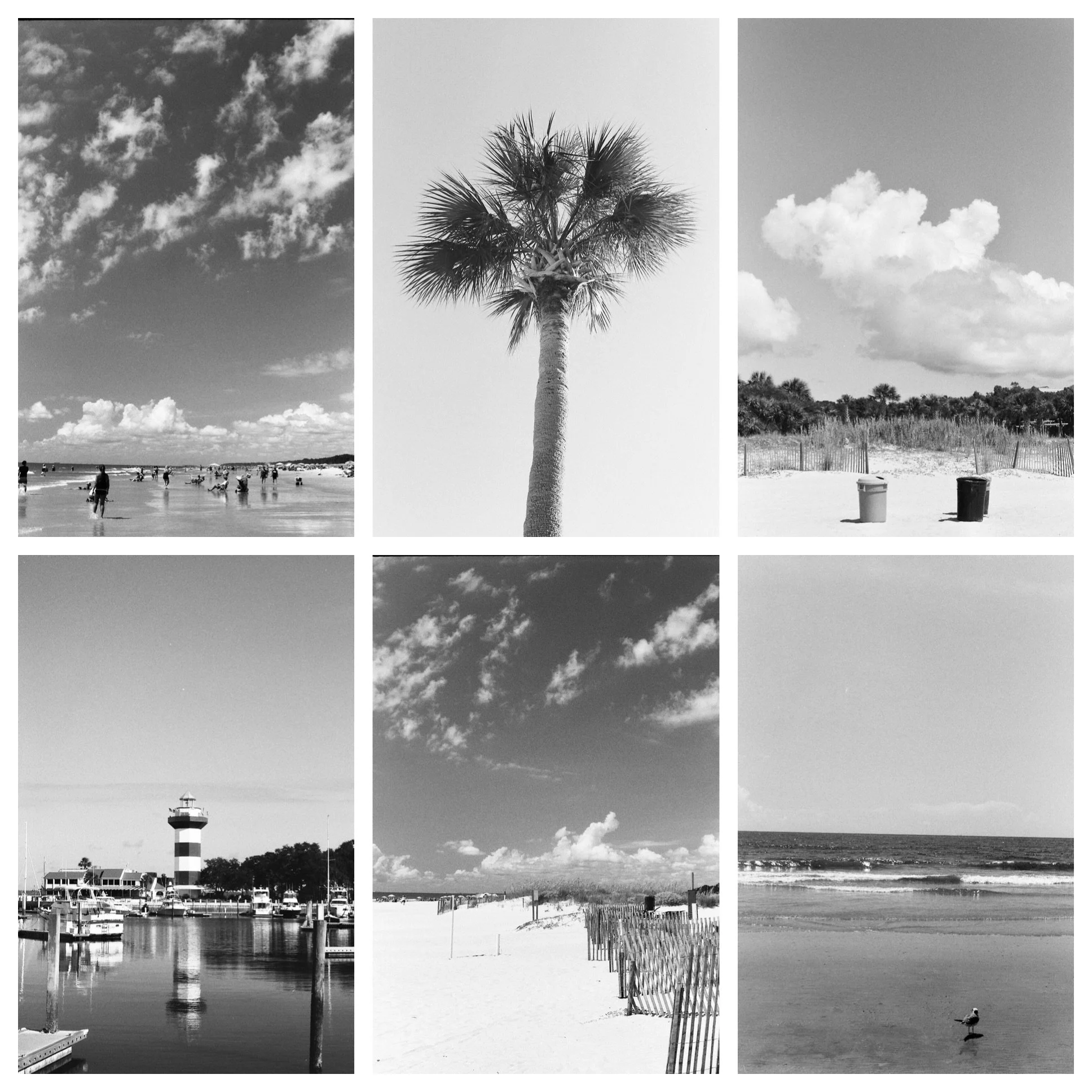 Island. 35mm photographic prints, dimensions variable, 2019.