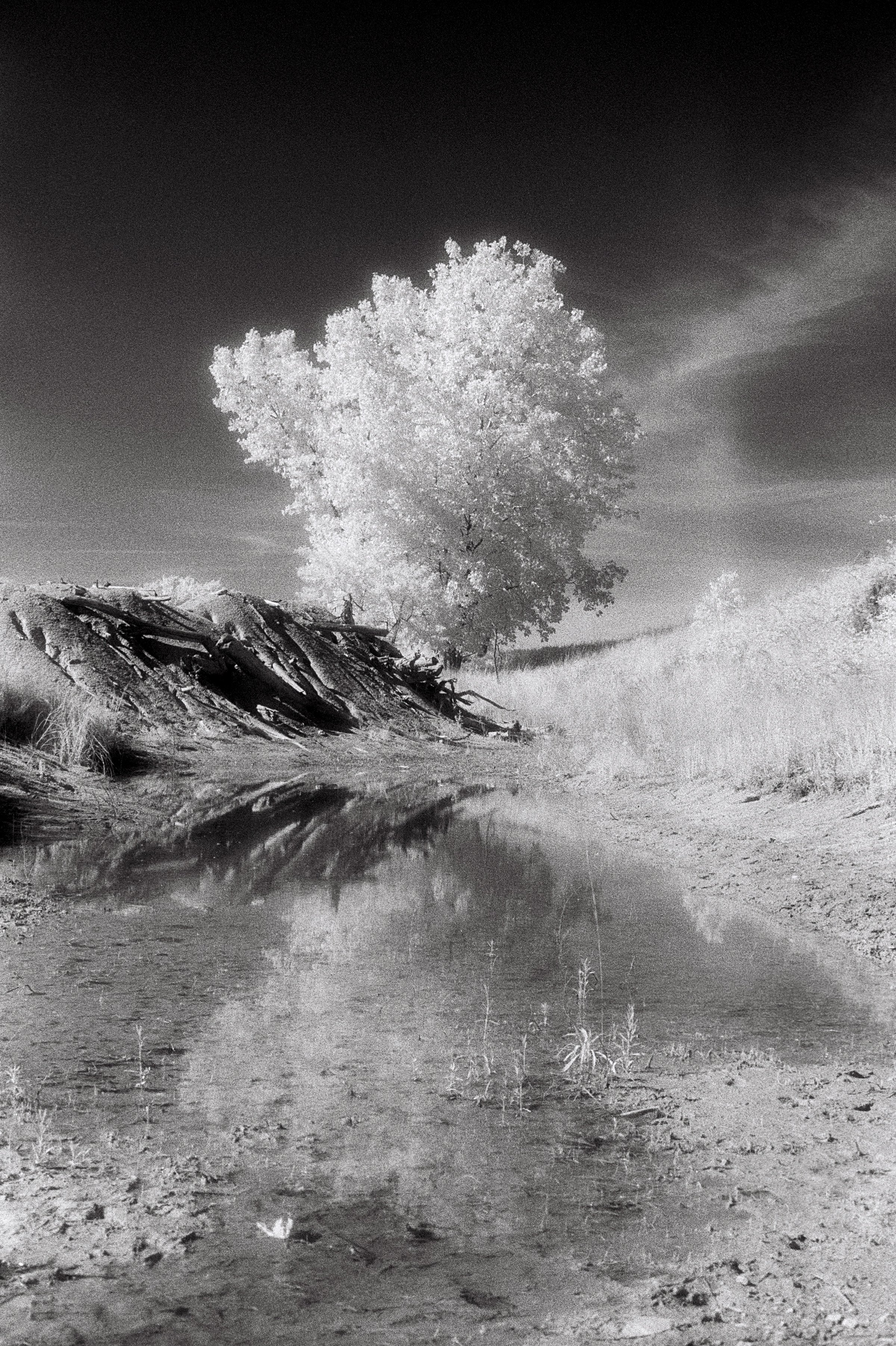 Untitled, 35mm, 2010.