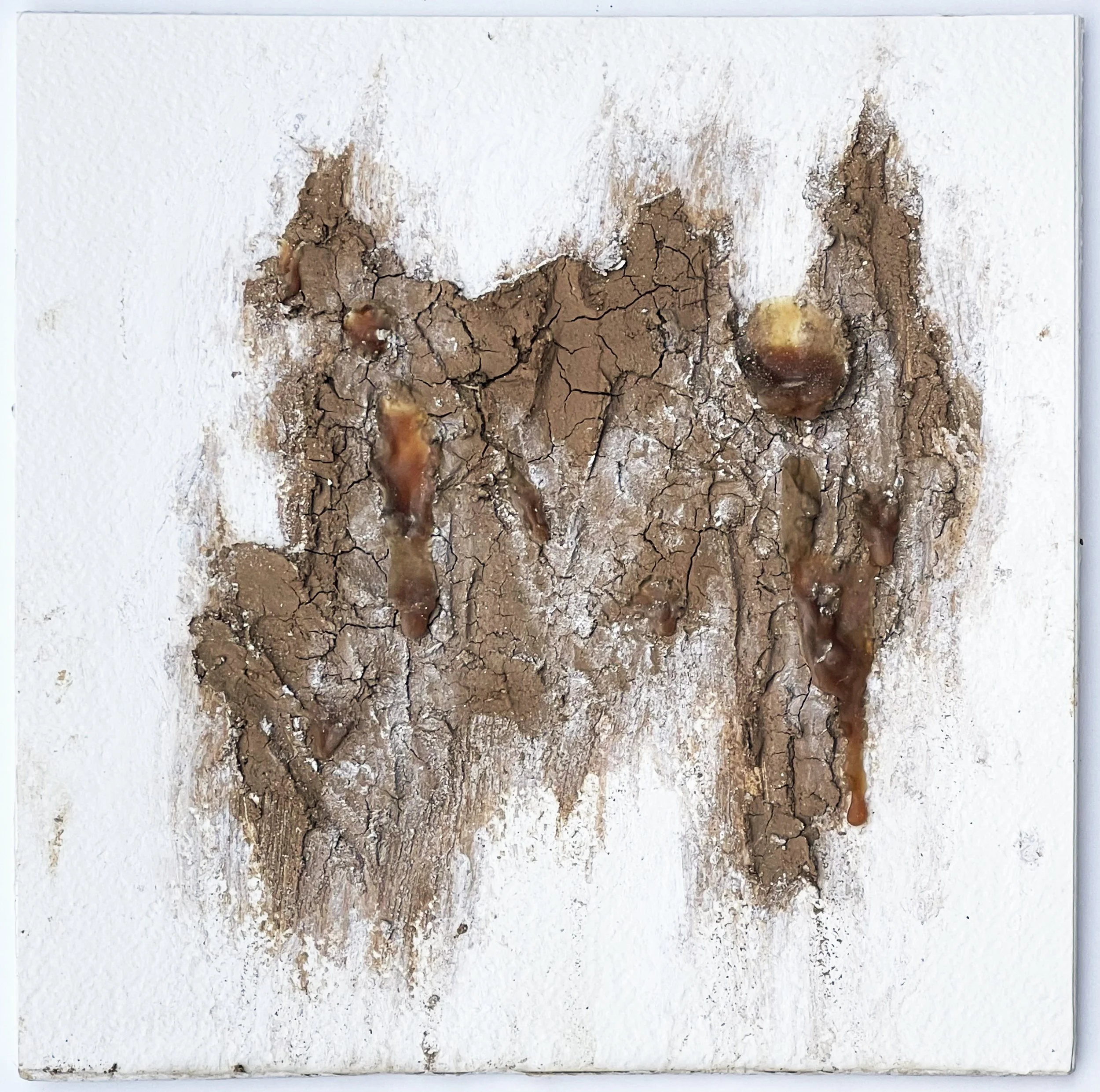 Untitled II. Hand processed local clay, latex, Conté crayon on paper slab, 11x1x11in, 2021-2022.