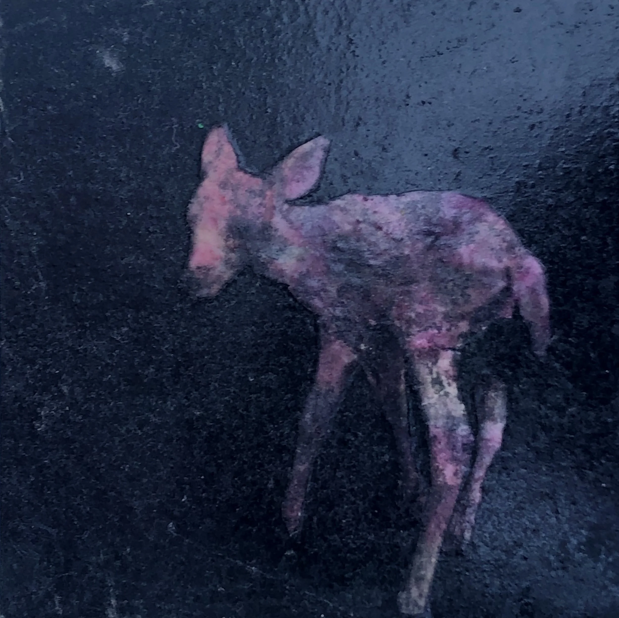 Deer Dream (2:3). Oil, collage, marker, and pastel on gesso board, 6x6in, 2014.