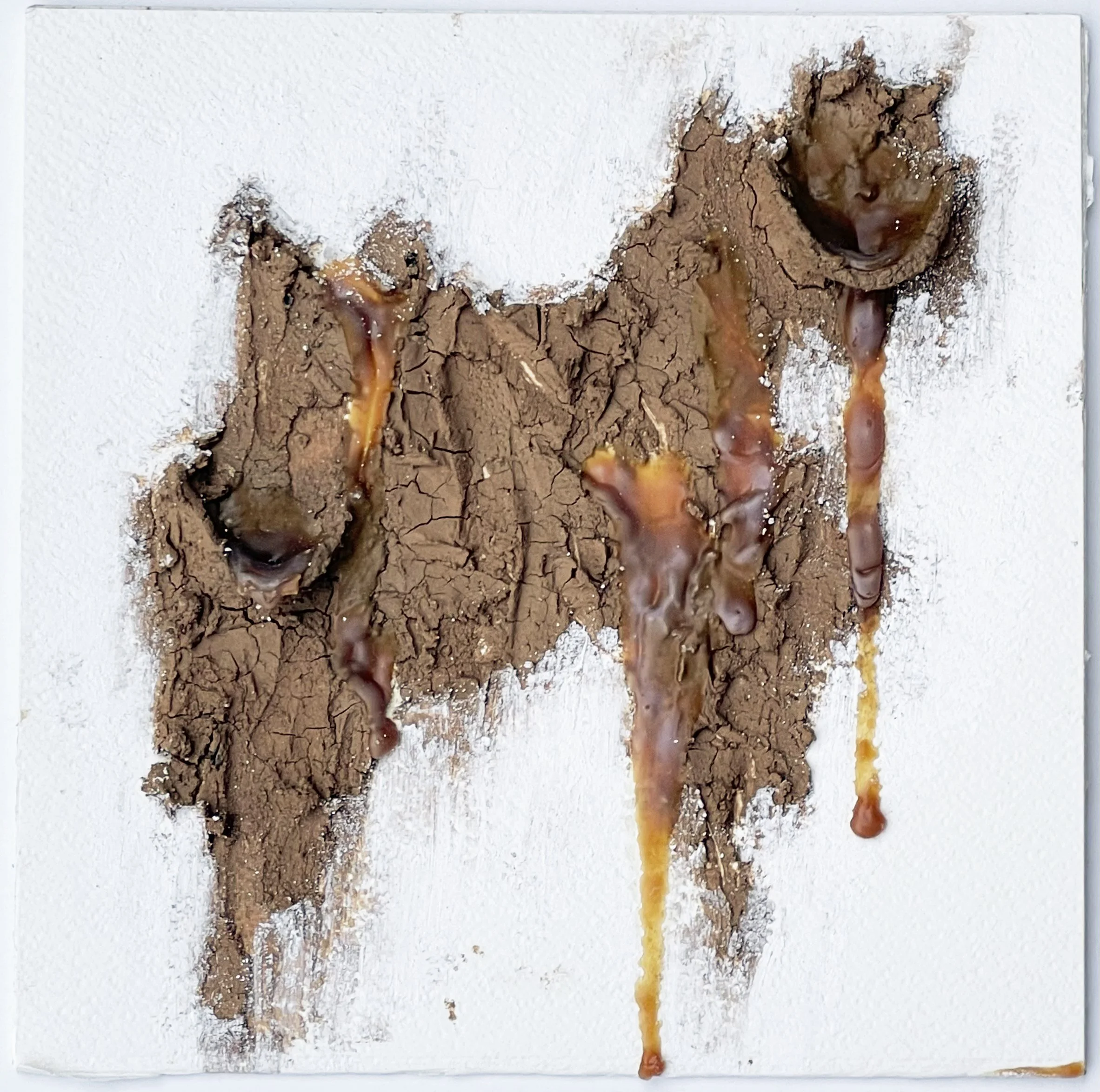 Untitled III. Hand processed local clay, latex, Conté crayon on paper slab, 11x1x11in, 2021-2022.