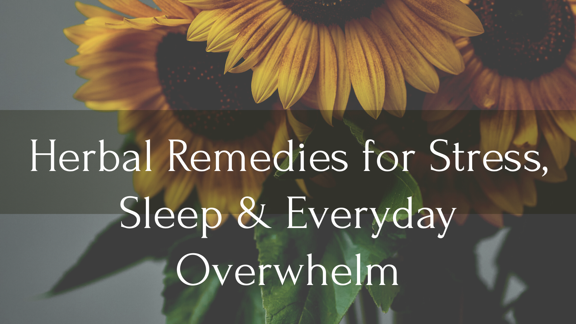 Herbal Remedies for Stress, Sleep & Everyday Overwhelm Workshop